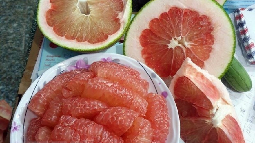 Ninh Thuan pomelo gets green light to enter US market